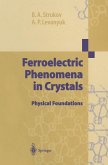 Ferroelectric Phenomena in Crystals (eBook, PDF)