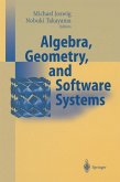 Algebra, Geometry and Software Systems (eBook, PDF)