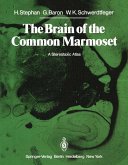 The Brain of the Common Marmoset (Callithrix jacchus) (eBook, PDF) The Brain of the Common Marmoset (Callithrix jacchus) (eBook, PDF)