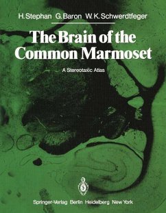 Cover The Brain of the Common Marmoset (Callithrix jacchus) (eBook, PDF)
