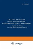 Das Gebiss des Menschen und der Anthropomorphen. Vergleichend-anatomische Untersuchungen (eBook, PDF)