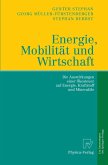 Energie, Mobilität und Wirtschaft (eBook, PDF)