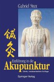 Einführung in die Akupunktur (eBook, PDF)