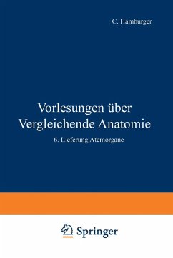 Vorlesungen Über Vergleichende Anatomie (eBook, PDF) - Bütschli, Otto; Hamburger, C.; Blochmann, F.; Buddenbrock, W. V.