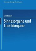 Sinnesorgane und Leuchtorgane (eBook, PDF)
