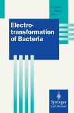 Electrotransformation of Bacteria (eBook, PDF)