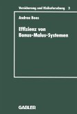 Effizienz von Bonus-Malus-Systemen (eBook, PDF)
