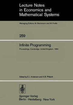 Infinite Programming (eBook, PDF)