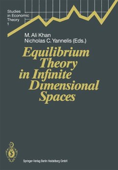 Equilibrium Theory in Infinite Dimensional Spaces (eBook, PDF)