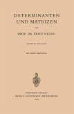 Determinanten und Matrizen (eBook, PDF)