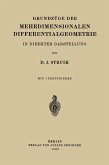 Grundzüge der Mehrdimensionalen Differentialgeometrie (eBook, PDF)