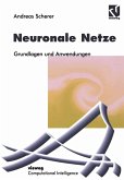 Neuronale Netze (eBook, PDF)