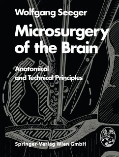 Microsurgery of the Brain (eBook, PDF) - Seeger, W.