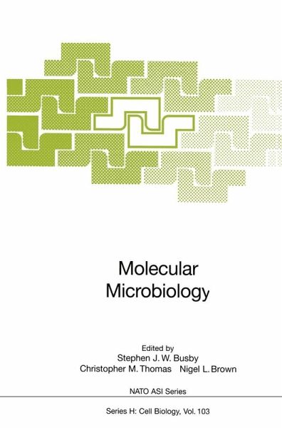 Molecular Microbiology (eBook, PDF) Molecular Microbiology (eBook, PDF)