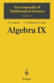 Algebra IX (eBook, PDF)