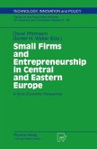 Small Firms and Entrepreneurship in Central and Eastern Europe (eBook, PDF)