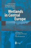 Wetlands in Central Europe (eBook, PDF)