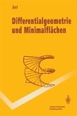 Differentialgeometrie und Minimalflächen (eBook, PDF)