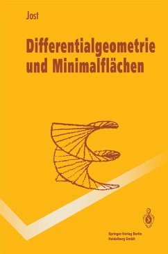 Differentialgeometrie und Minimalflächen (eBook, PDF) - Jost, Jürgen