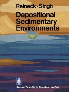 Cover Depositional Sedimentary Environments (eBook, PDF)
