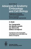 Zur Topographie der Medulla spinalis der Albinoratte (rattus norvegicus) / Contributions to the Topography of the Spinal Cord of the Albino Rat (Rattus norvegicus) (eBook, PDF)