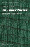The Vascular Cambium (eBook, PDF)