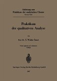 Anleitung zum Praktikum der analytischen Chemie (eBook, PDF)