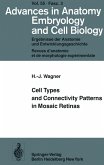 Cell Types and Connectivity Patterns in Mosaic Retinas (eBook, PDF)