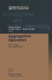 Aggregation Operators (eBook, PDF)