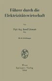 Führer durch die Elektrizitätswirtschaft (eBook, PDF)