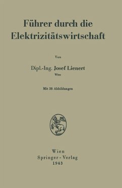 Führer durch die Elektrizitätswirtschaft (eBook, PDF) - Lienert, Josef