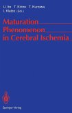Maturation Phenomenon in Cerebral Ischemia (eBook, PDF)