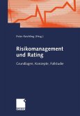 Risikomanagement und Rating (eBook, PDF)