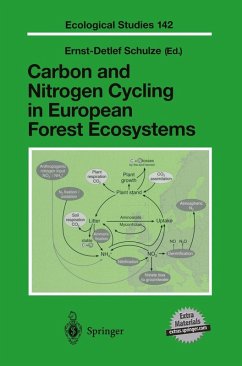 Carbon and Nitrogen Cycling in European Forest Ecosystems (eBook, PDF)