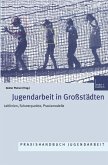Jugendarbeit in Großstädten (eBook, PDF)