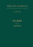 Silber (eBook, PDF)