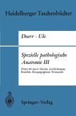 Spezielle pathologische Anatomie III (eBook, PDF)