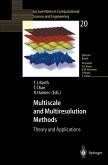 Multiscale and Multiresolution Methods (eBook, PDF)
