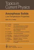 Amorphous Solids (eBook, PDF)