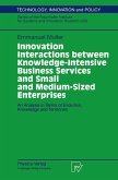 Innovation Interactions Between Knowledge-Intensive Business Services And Small And Medium-Sized Enterprises (eBook, PDF)