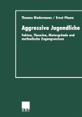 Aggressive Jugendliche (eBook, PDF)