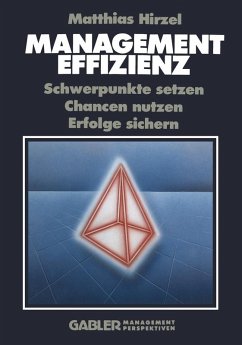 Management Effizienz (eBook, PDF) - Hirzel, Matthias