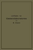 Leitfaden für Gießereilaboratorien (eBook, PDF)