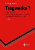 Tragwerke (eBook, PDF)