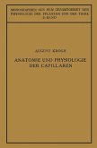 Anatomie und Physiologie der Capillaren (eBook, PDF)