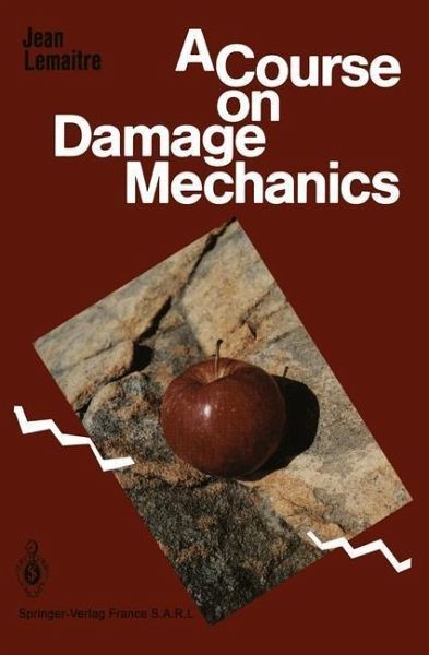 A Course on Damage Mechanics (eBook, PDF)