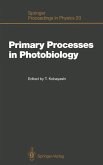 Primary Processes in Photobiology (eBook, PDF)