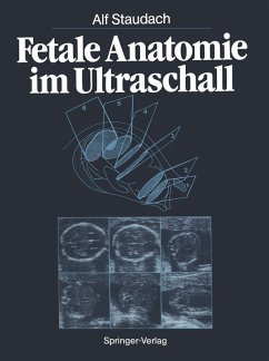 Cover Fetale Anatomie im Ultraschall (eBook, PDF)