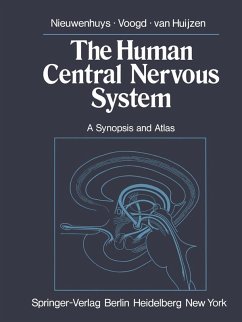 The Human Central Nervous System (eBook, PDF) - Nieuwenhuys, R.; Voogd, J.; Huijzen, C. Van