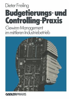 Budgetierungs- und Controlling-Praxis (eBook, PDF) - Freiling, Dieter